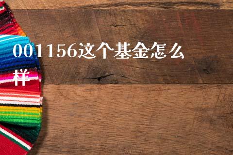 001156这个基金怎么样_https://m.letulww.com_期货开户保证金_第1张