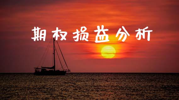 期权损益分析_https://m.letulww.com_股指期货交易时间_第1张