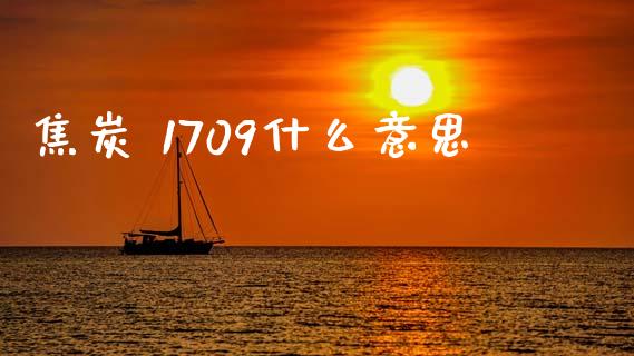 焦炭 1709什么意思_https://m.letulww.com_期货开户保证金_第1张