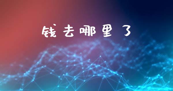 钱去哪里了_https://m.letulww.com_期货交易软件_第1张
