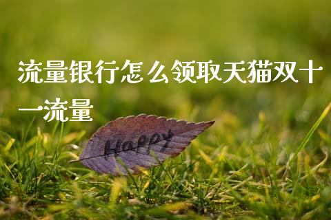 流量银行怎么领取天猫双十一流量_https://m.letulww.com_股指期货交易时间_第1张