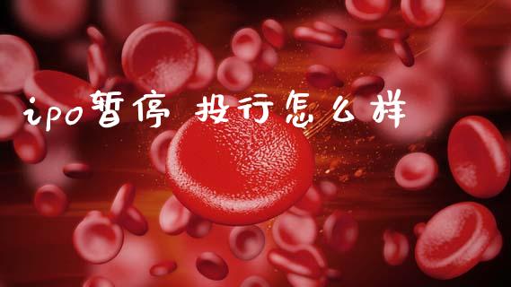 ipo暂停 投行怎么样_https://m.letulww.com_期货交易软件_第1张