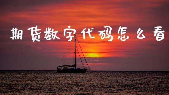 期货数字代码怎么看_https://m.letulww.com_期货交易软件_第1张