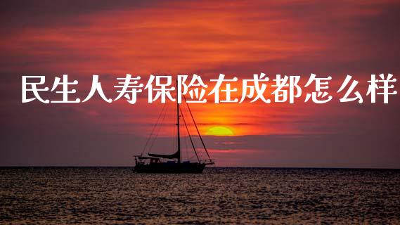 民生人寿保险在成都怎么样_https://m.letulww.com_期货开户保证金_第1张