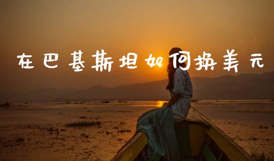 在巴基斯坦如何换美元_https://m.letulww.com_股指期货交易时间_第1张