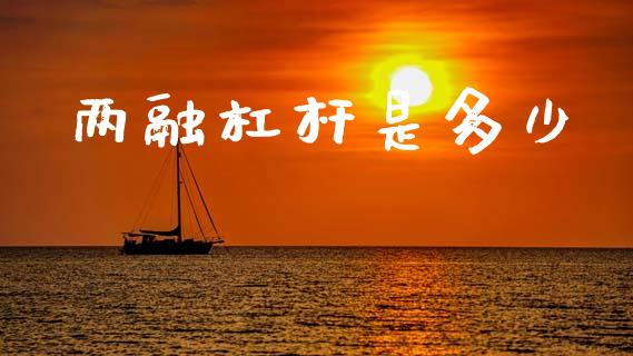 两融杠杆是多少_https://m.letulww.com_股指期货交易时间_第1张