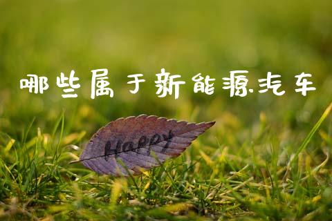 哪些属于新能源汽车_https://m.letulww.com_股指期货交易时间_第1张