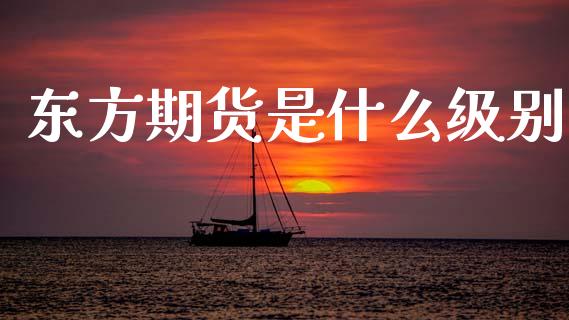 东方期货是什么级别_https://m.letulww.com_期货交易软件_第1张