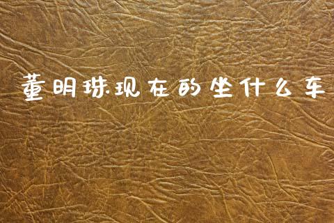 董明珠现在的坐什么车_https://m.letulww.com_期货交易策略_第1张