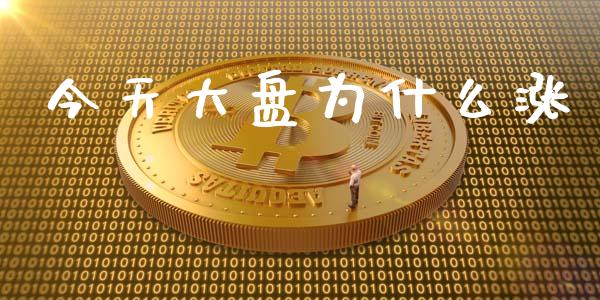 今天大盘为什么涨_https://m.letulww.com_期货交易策略_第1张