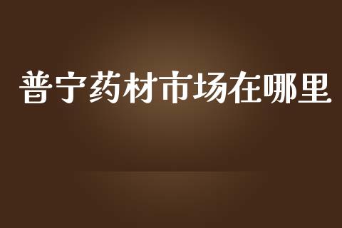 普宁药材市场在哪里_https://m.letulww.com_股指期货交易时间_第1张