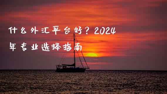 什么外汇平台好？2024年专业选择指南_https://m.letulww.com_股指期货交易时间_第1张