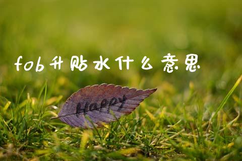 fob升贴水什么意思_https://m.letulww.com_期货开户保证金_第1张