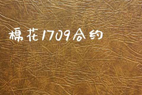 棉花1709合约_https://m.letulww.com_期货开户保证金_第1张
