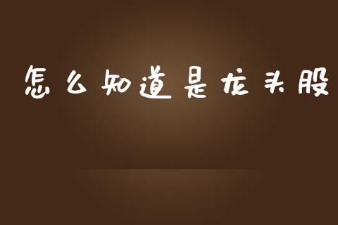 怎么知道是龙头股_https://m.letulww.com_期货交易策略_第1张