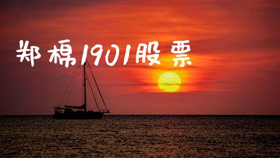 郑棉1901股票_https://m.letulww.com_期货交易软件_第1张
