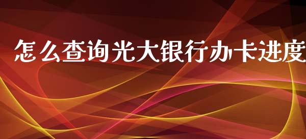怎么查询光大银行办卡进度_https://m.letulww.com_股指期货交易时间_第1张