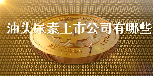 油头尿素上市公司有哪些_https://m.letulww.com_股指期货交易时间_第1张