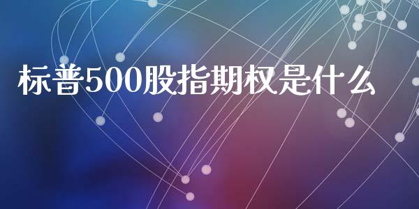 标普500股指期权是什么_https://m.letulww.com_股指期货交易时间_第1张