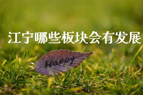 江宁哪些板块会有发展_https://m.letulww.com_期货交易策略_第1张