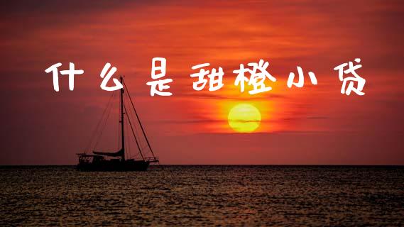 什么是甜橙小贷_https://m.letulww.com_期货交易策略_第1张