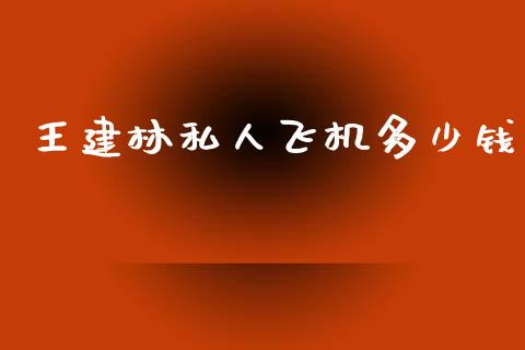 王建林私人飞机多少钱_https://m.letulww.com_期货交易软件_第1张