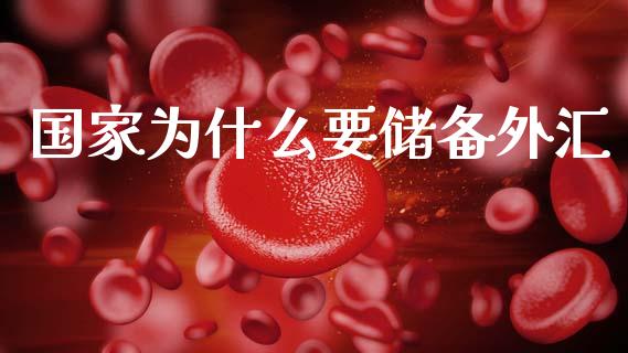 国家为什么要储备外汇_https://m.letulww.com_期货交易策略_第1张