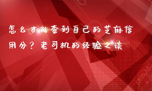 怎么才能查到自己的芝麻信用分？老司机的经验之谈_https://m.letulww.com_期货交易软件_第1张