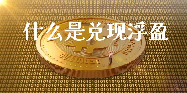 什么是兑现浮盈_https://m.letulww.com_股指期货交易时间_第1张