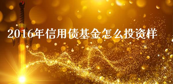 2016年信用债基金怎么投资样_https://m.letulww.com_期货开户保证金_第1张