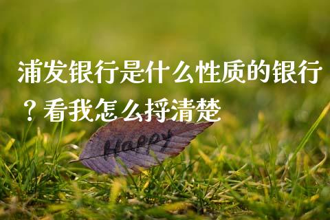 浦发银行是什么性质的银行？看我怎么捋清楚_https://m.letulww.com_股指期货交易时间_第1张