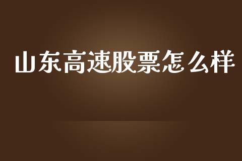 山东高速股票怎么样_https://m.letulww.com_期货开户保证金_第1张