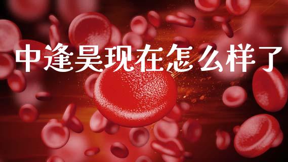 中逢昊现在怎么样了_https://m.letulww.com_期货开户保证金_第1张