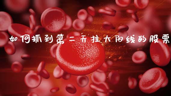 如何抓到第二天拉大阳线的股票_https://m.letulww.com_期货交易软件_第1张