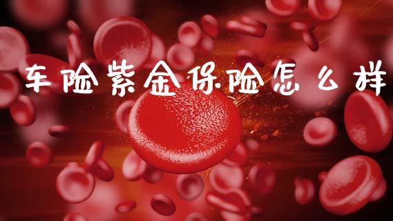 车险紫金保险怎么样_https://m.letulww.com_股指期货交易时间_第1张