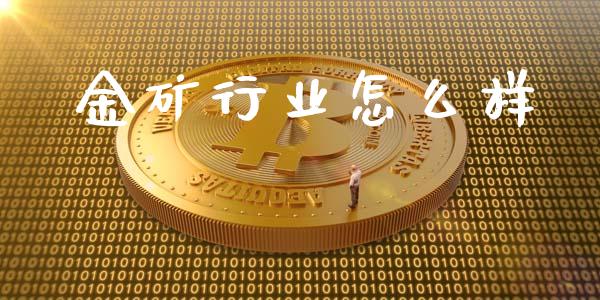 金矿行业怎么样_https://m.letulww.com_股指期货交易时间_第1张