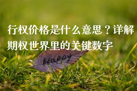行权价格是什么意思？详解期权世界里的关键数字_https://m.letulww.com_期货交易软件_第1张
