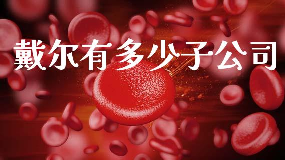 戴尔有多少子公司_https://m.letulww.com_期货开户保证金_第1张