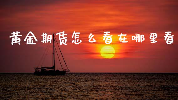黄金期货怎么看在哪里看_期货交易策略_第1张_期货开户保证金_期货交易软件_股指期货交易时间_期货交易策略 黄金期货怎么看在哪里看_https://m.letulww.com_期货交易策略_第1张