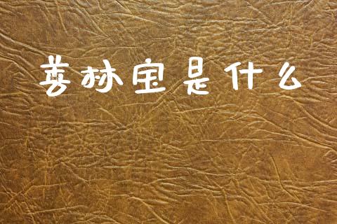 善林宝是什么_https://m.letulww.com_期货交易策略_第1张