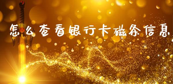 怎么查看银行卡磁条信息_https://m.letulww.com_期货交易软件_第1张
