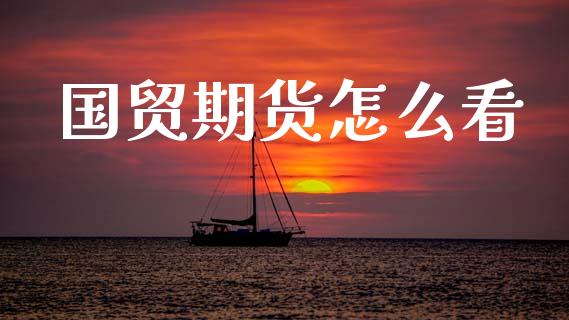 国贸期货怎么看_https://m.letulww.com_期货交易软件_第1张