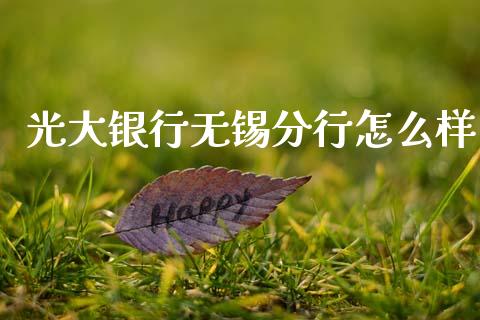 光大银行无锡分行怎么样_https://m.letulww.com_股指期货交易时间_第1张