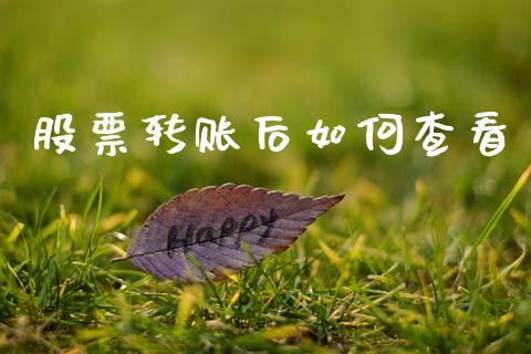 股票转账后如何查看_https://m.letulww.com_期货开户保证金_第1张