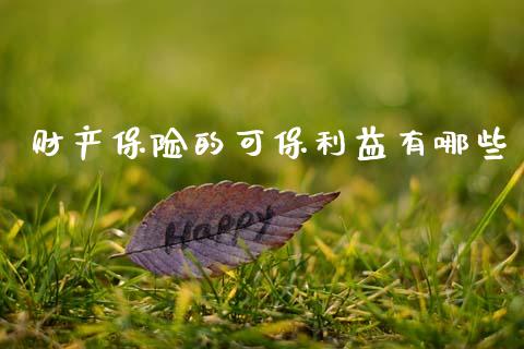 财产保险的可保利益有哪些_https://m.letulww.com_股指期货交易时间_第1张