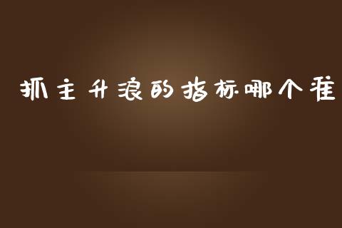 抓主升浪的指标哪个准_https://m.letulww.com_期货交易策略_第1张
