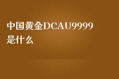 中国黄金DCAU9999是什么_https://m.letulww.com_期货交易策略_第1张