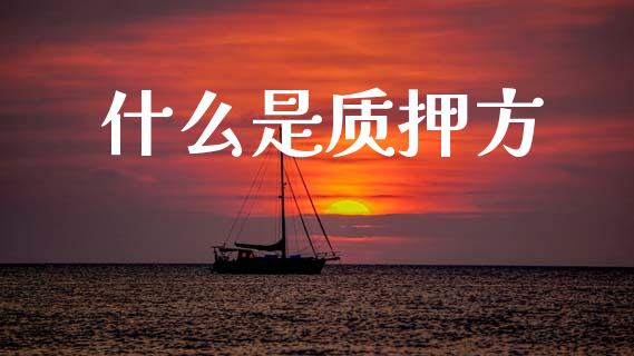 什么是质押方_https://m.letulww.com_期货交易软件_第1张