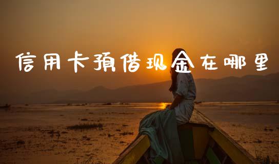 信用卡预借现金在哪里_https://m.letulww.com_期货开户保证金_第1张