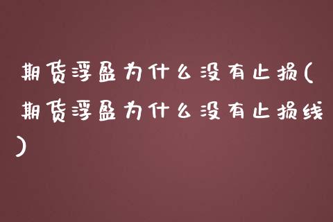 期货浮盈为什么没有止损(期货浮盈为什么没有止损线)_https://m.letulww.com_期货交易软件_第1张